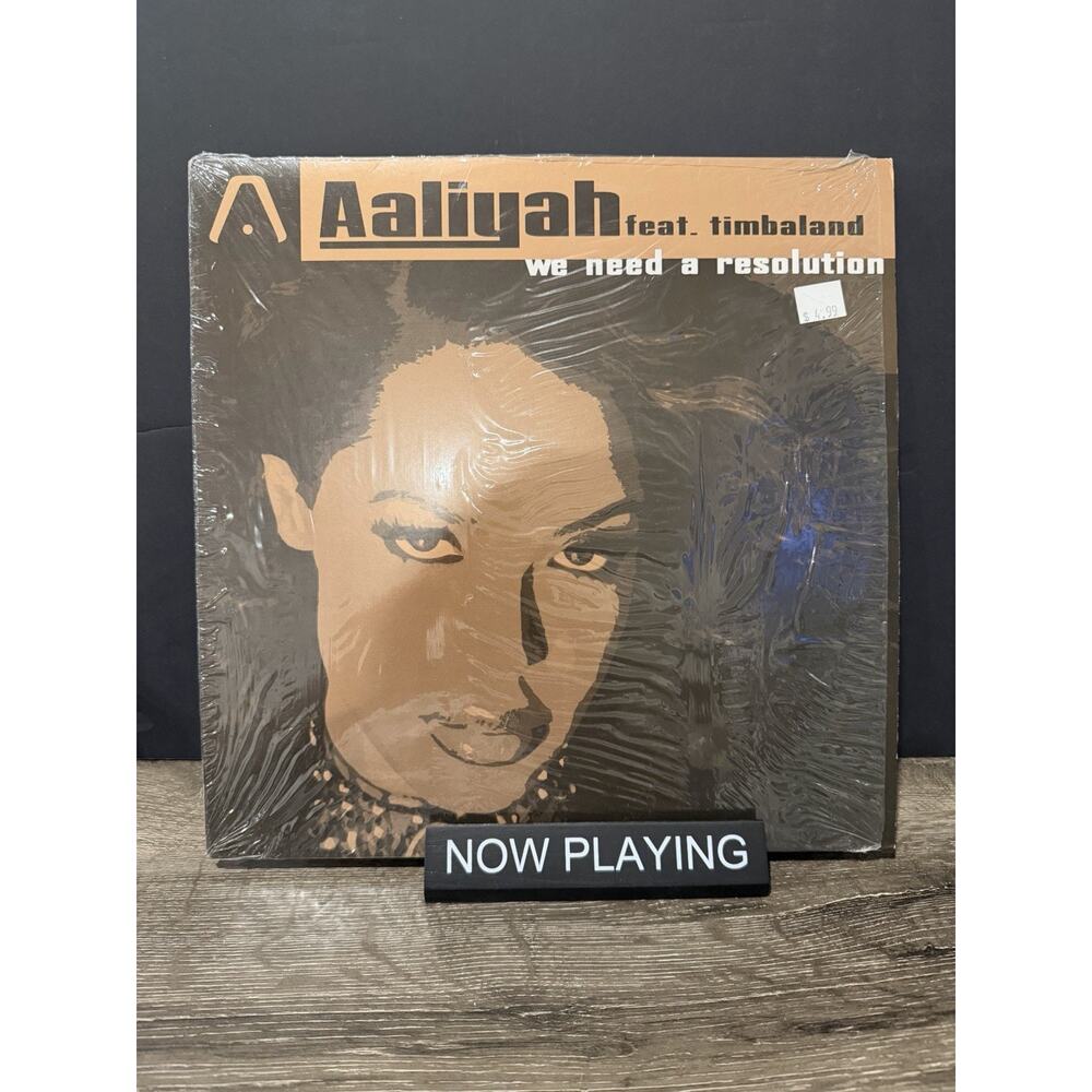 Aaliyah Haughton Timbaland We Need A Resolution 12” Vinyl Record Mix Remix 2001